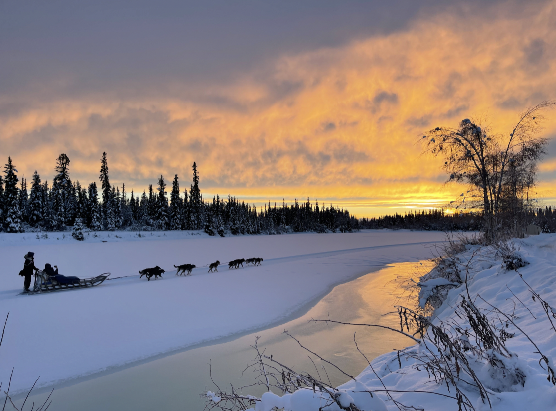 sunset dogsledding in Fairbanks Alaska.