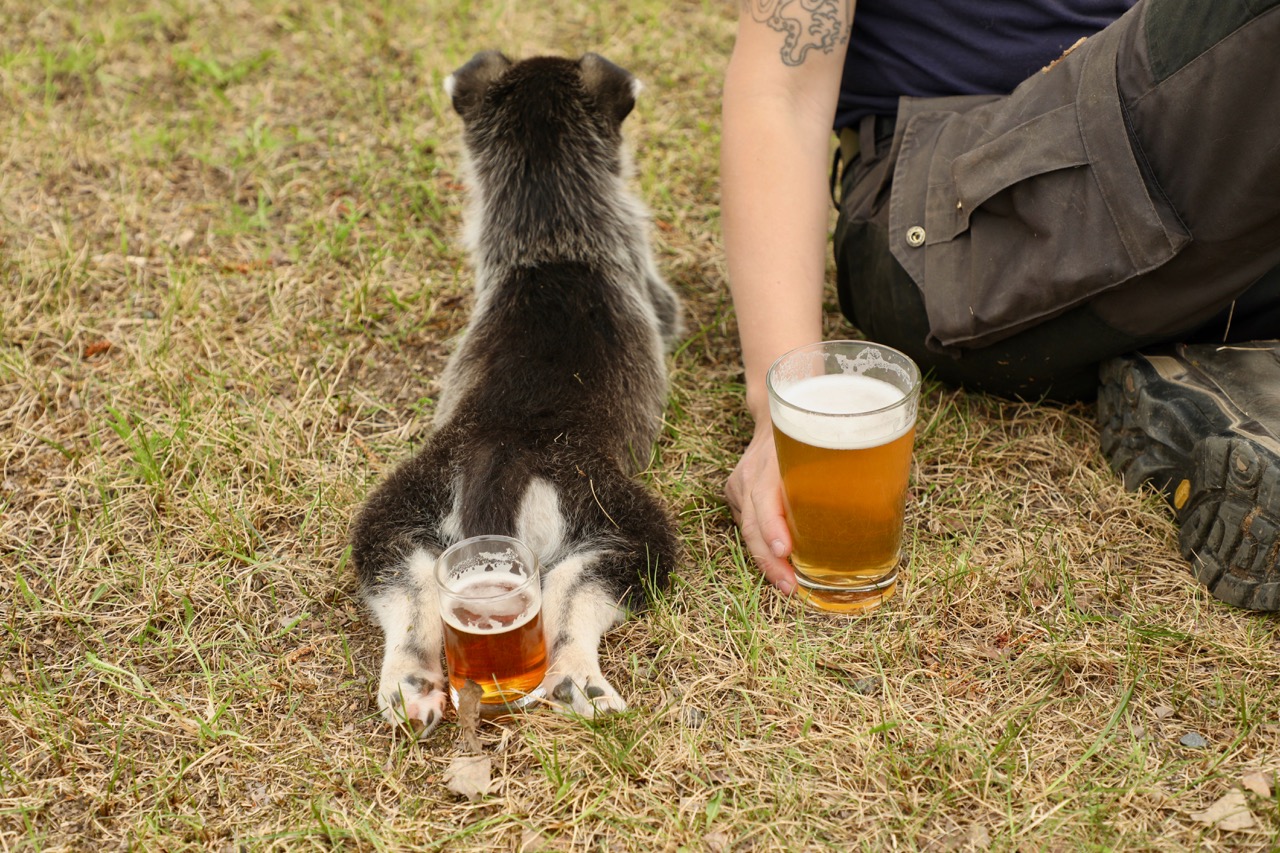 Puppy and beer