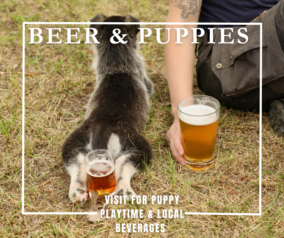 Beer And Puppies