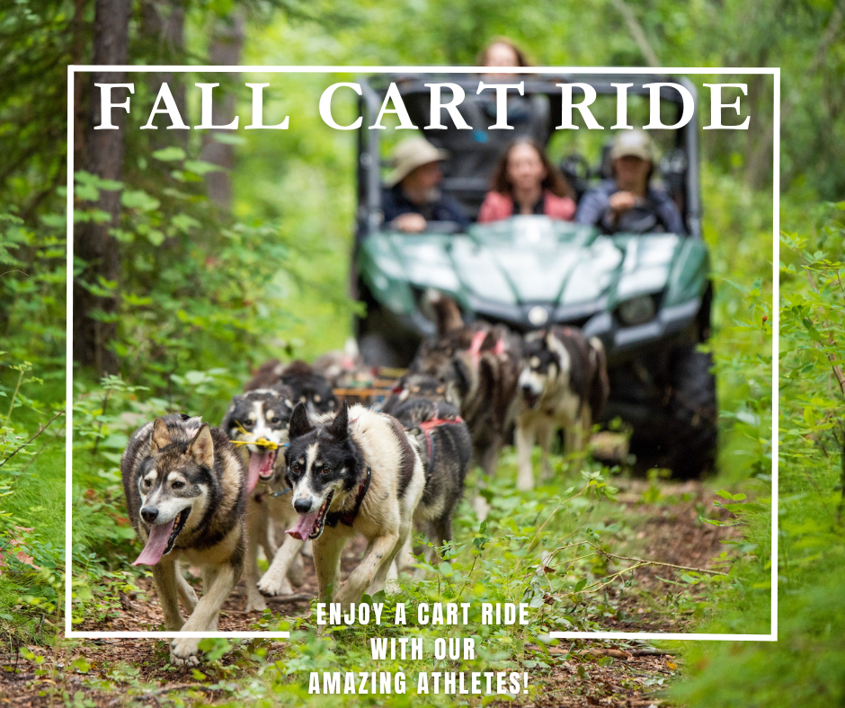 Fall Cart Ride