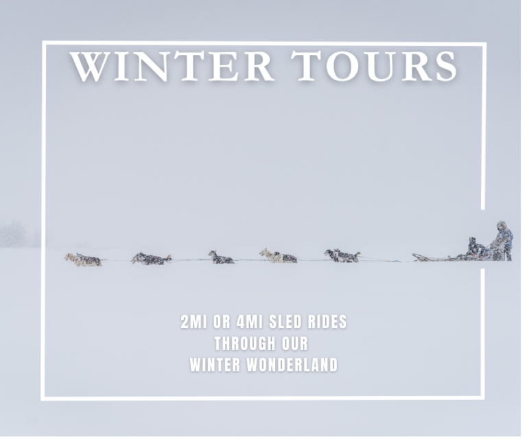 Web Home Winter Tours