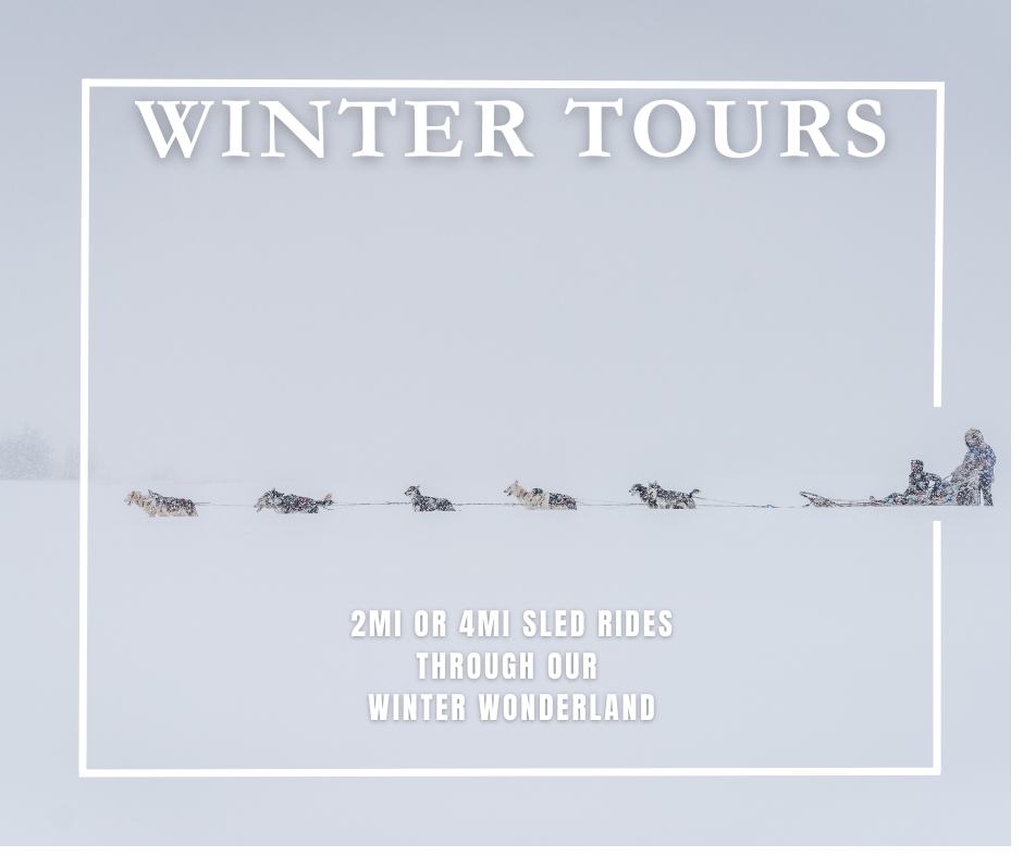 Web Home Winter Tours