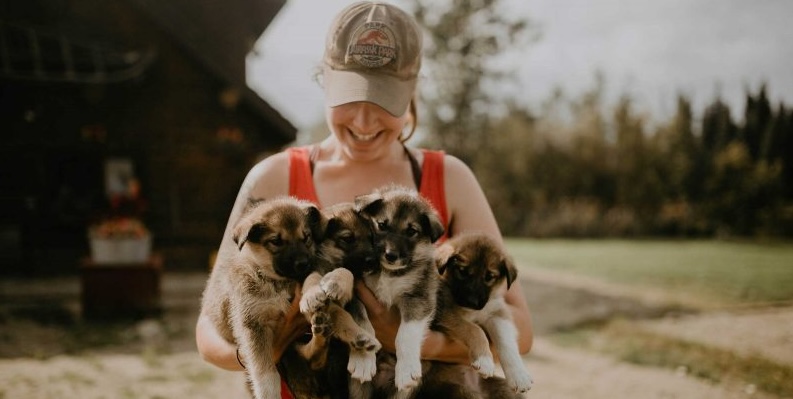 Katrina W Puppies